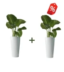 ZESTAW 2 x donica wysoka stożek 73 cm z włókna szklanego BIAŁA | 37x73 cm