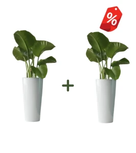 ZESTAW 2 x donica wysoka stożek 73 cm z włókna szklanego BIAŁA | 37x73 cm