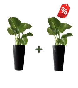 ZESTAW 2 x donica wysoka stożek 73 cm z włókna szklanego CZARNA| 37x73 cm