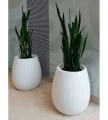 donica-wlokno-szklane-salon-silba-xl-biala-komplet.webp