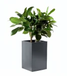 Donica wysoka 50 cm z włókna szklanego ANTRACYT MAT | 48x30 cm