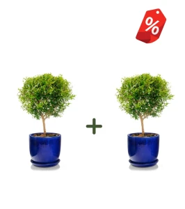 ZESTAW 2x donica ceramiczna szkliwiona okrągła 50 cm NIEBIESKA | 50x43 cm