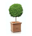 donica-ceramiczna-kwadratowa-tus (4).webp