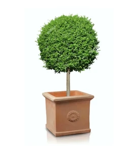 Donica ceramiczna kwadratowa Tuscan | 42x42x39 cm