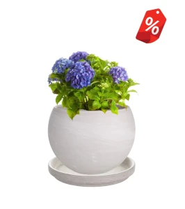 ZESTAW Donica z terakoty Luna Granit + podstawka | 32x24 cm