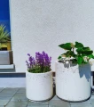 żestaw-donica-na-ogrod-jasny-beton.webp
