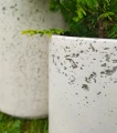 żestaw-donica-lekki-beton-detal.webp