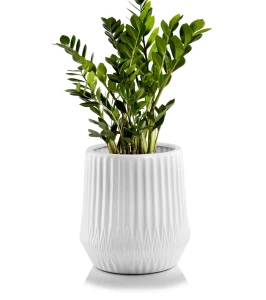 Duża biała donica ceramiczna | 36x42 cm