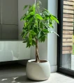 donica-misa-ceramiczna-50cm.webp