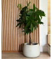donica-misa-ceramiczna.webp