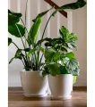 doniczka-ceramiczna-z-podstawka-biala-do-salonu.webp