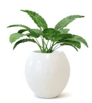 Donica kula 65 cm z włókna szklanego BIAŁA | 65x60 cm