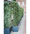 donica-metalowa-dla-firm.webp