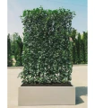 donica-metalowa-ogrodowa.webp