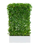 Zielony ekran/panel z bluszczu w donicy BIAŁY | 130x40 H:220 cm