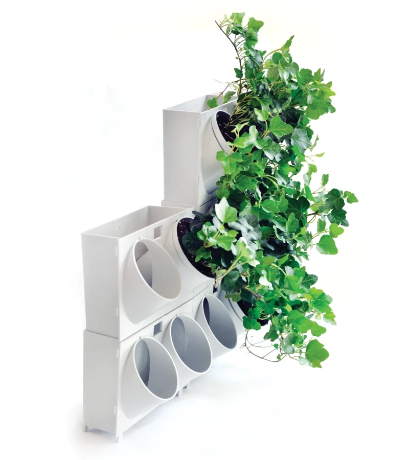 ogrod-wertykalny-na-scianie.webp