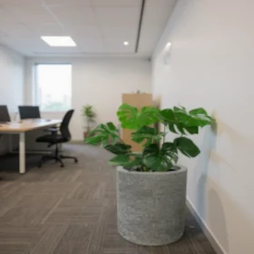 donice na wymiar w imitacji betonu