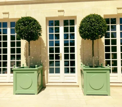 drzewko na pniu do donicy