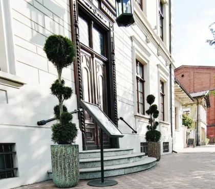 jakie drzewko do donicy?