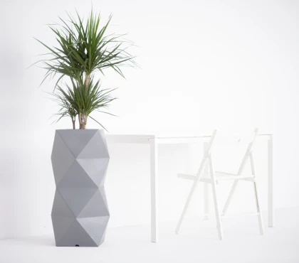 juka staje się za wysoka