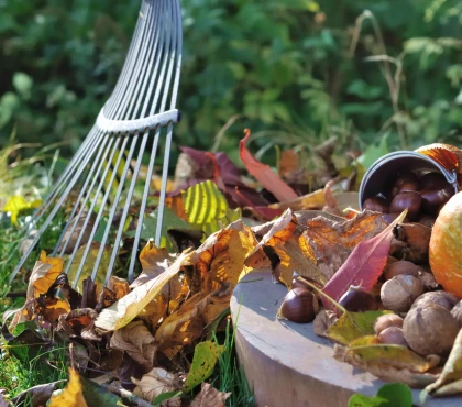 prace-ogrodowe-przed-zima